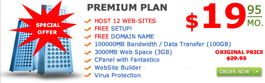 "Premium Plan" Host 12 web-sites 3000MB web space 100GB Bandwidth only for $29.95 a month